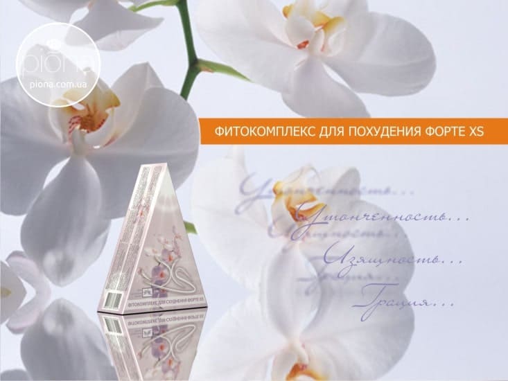 Презентация фитокомплекса XS от брэндинг бюро Piona
