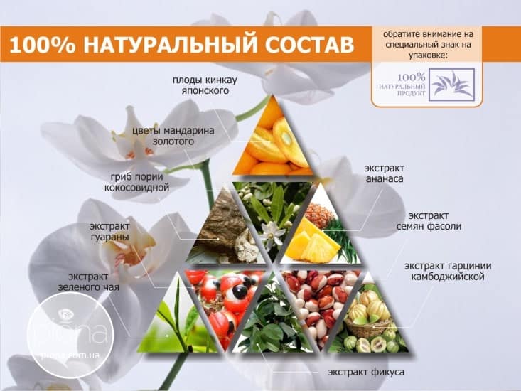 Презентация фитокомплекса XS от брэндинг бюро Piona