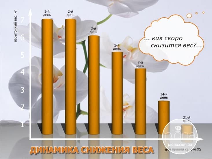Презентация фитокомплекса XS от брэндинг бюро Piona