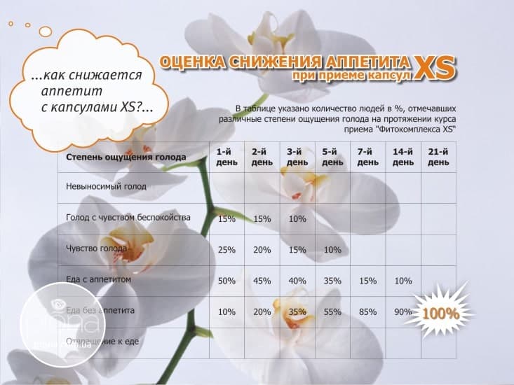 Презентация фитокомплекса XS от брэндинг бюро Piona