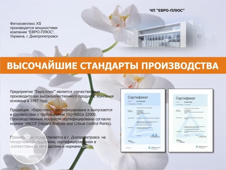 Презентация фитокомплекса XS от брэндинг бюро Piona