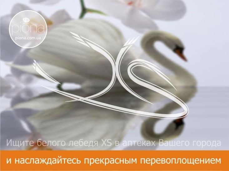 Логотип, нейминг, презентация фитокомплекса XS от брендинг бюро Piona