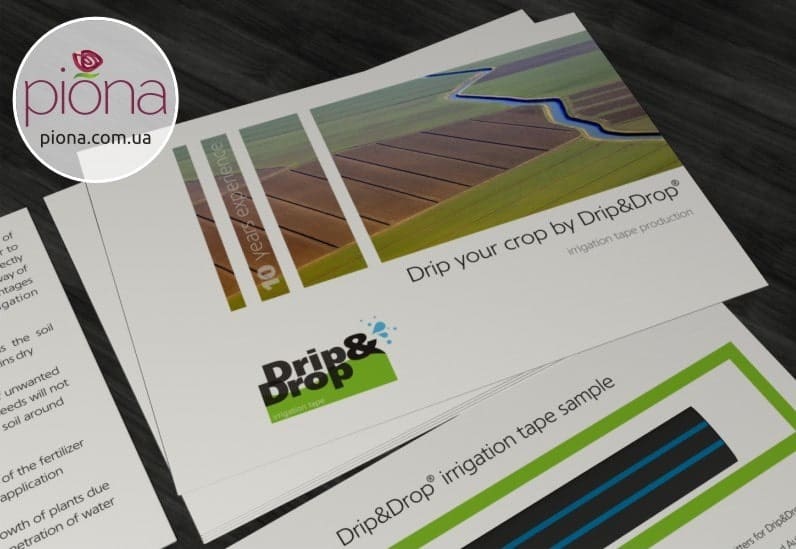 Дизайн логотипа и фирменного стиля Drip&Drop TM ирригационная лента для сельского хозяйства. Дизайн от интел брэндинг бюро Пиона