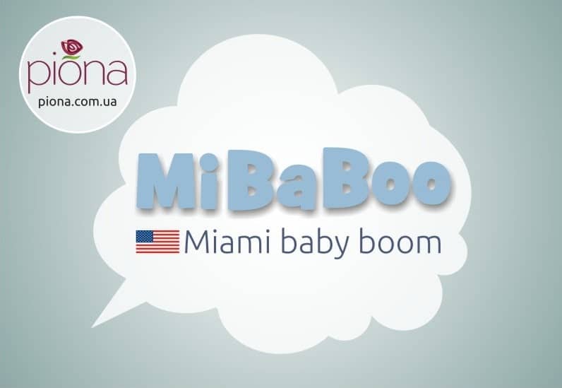 Нейминг, УТП и логотип для компании Mibaboo